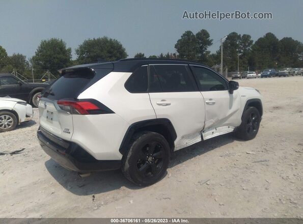 JTMEWRFV8LJ041213 2020 TOYOTA RAV4 White Tył prawy