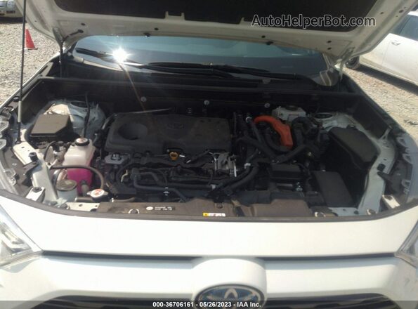 JTMEWRFV8LJ041213 2020 TOYOTA RAV4 White Widok z tyłu
