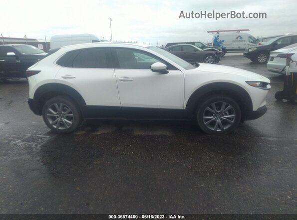 3MVDMBCLXMM262343 2021 MAZDA CX-30 White Widok wnętrza z tyłu
