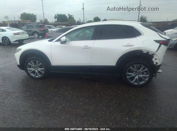 3MVDMBCLXMM262343 2021 MAZDA CX-30 White Widok wnętrza 360 stopni