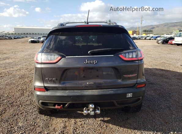 1C4PJMBX4KD115581 2019 JEEP CHEROKEE Серый Вид сзади