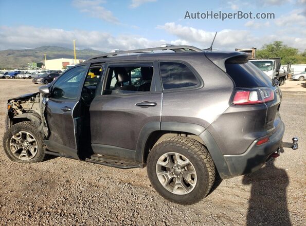 1C4PJMBX4KD115581 2019 JEEP CHEROKEE Серый Задняя левая четверть