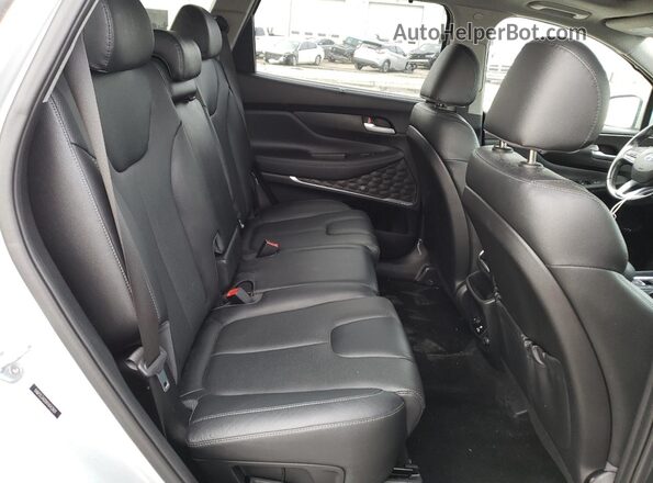 5NMS53AD0KH042801 2019 HYUNDAI SANTA Silver Սալոնի հետևի տեսք