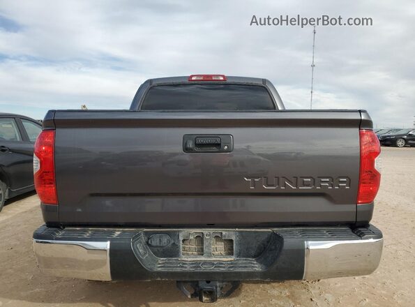 5TFEM5F13KX141971 2019 TOYOTA TUNDRA Gray Vista trasera