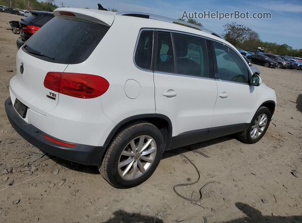 WVGSV7AX6HW513191 2017 VOLKSWAGEN TIGUAN Белый Вид сзади
