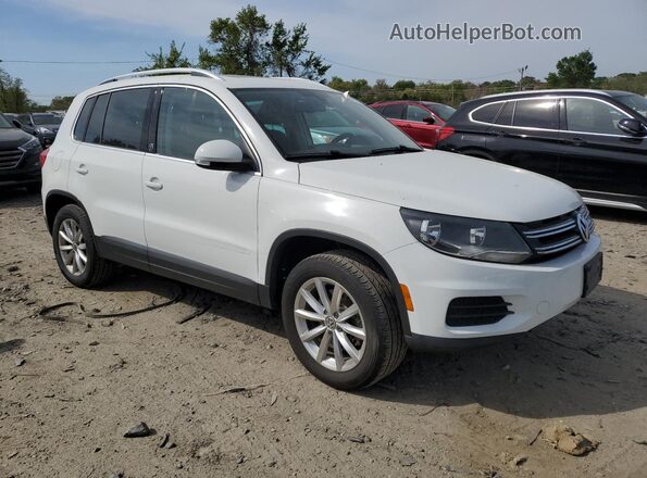 WVGSV7AX6HW513191 2017 VOLKSWAGEN TIGUAN Белый Вид панели приборов