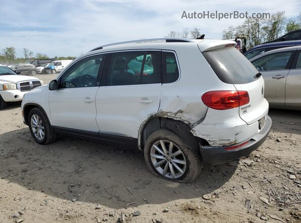 WVGSV7AX6HW513191 2017 VOLKSWAGEN TIGUAN Белый Передняя правая четверть