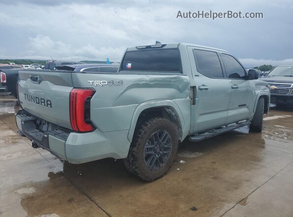 5TFLA5DB5PX076818 2023 TOYOTA TUNDRA Серый Вид сзади