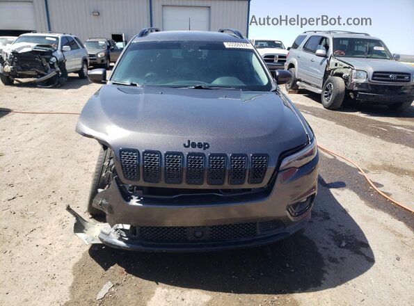 1C4PJLLB2MD155884 2021 JEEP CHEROKEE LATITUDE PL Gray Սարքավորումների վահանակի տեսք
