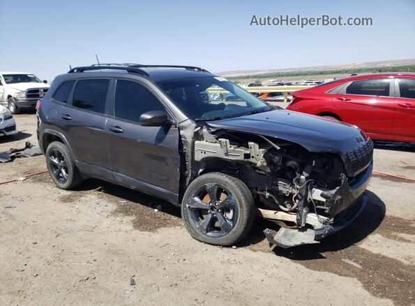 1C4PJLLB2MD155884 2021 JEEP CHEROKEE LATITUDE PL Gray Առջևի վահանակի տեսք