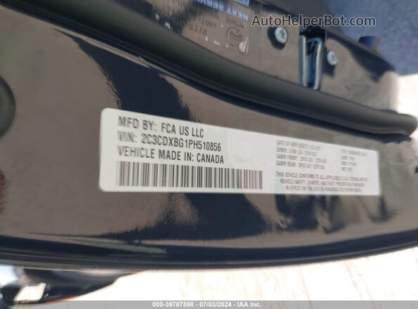 2C3CDXBG1PH510856 2023 DODGE CHARGER Black Vista del compartimento del motor