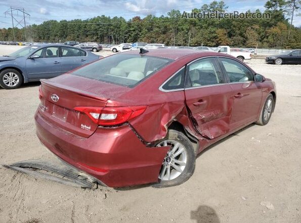 5NPE24AFXGH428262 2016 HYUNDAI SONATA Red უკანა მარჯვენა