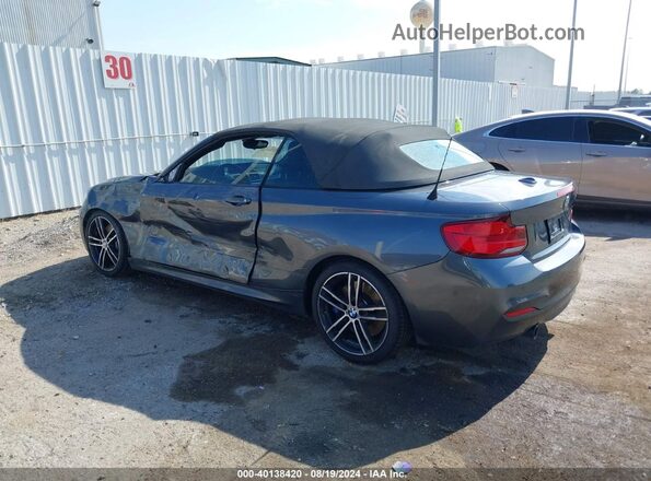 WBA2N1C55JVC28118 2018 BMW M2 Gray Задня ліва чверть