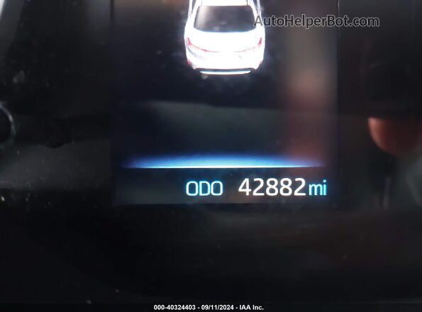 5YFEPMAEXMP227484 2021 TOYOTA LL Dark Blue 