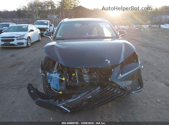 JTJBJRBZXK2106028 2019 LEXUS NX 300H Black Вид задньої частини салону