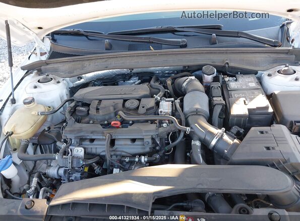 5XXG34J20RG234034 2024 KIA K5 Белый Вид сзади