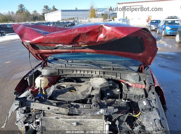 KM8J2CA46KU919218 2019 HYUNDAI TUCSON Красный Вид сзади