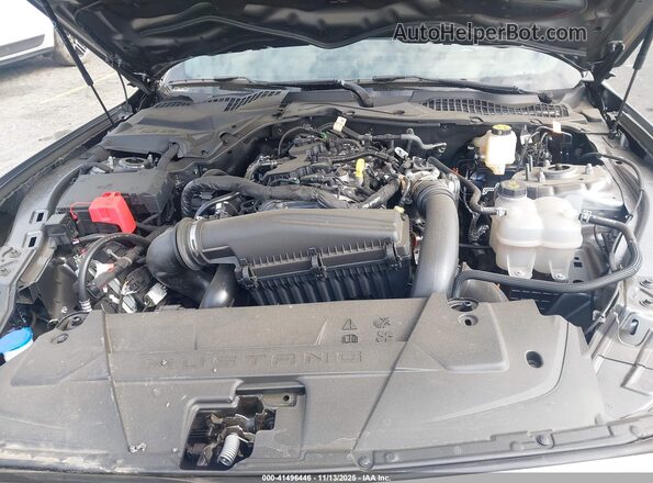 1FA6P8TH2R5147092 2024 FORD MUSTANG Gray Vista trasera