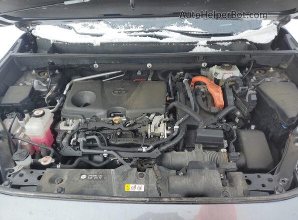 4T3D6RFV8MU009506 2021 TOYOTA LIMITED Gray 