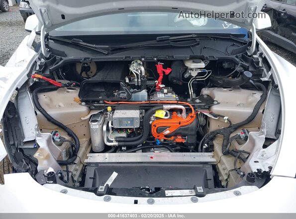 7SAYGDEE5RF117892 2024 TESLA MODEL Y Белый Вид сзади