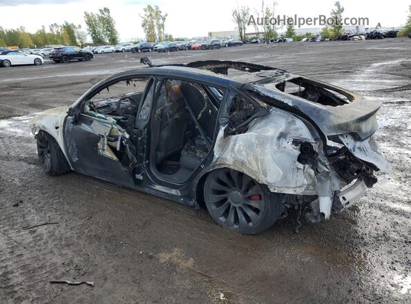 7SAYGDEF4NF563776 2022 TESLA MODEL Burn Tył lewy