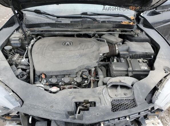 19UUB3F64KA801568 2019 ACURA TLX Black უკანა სალონის ხედი
