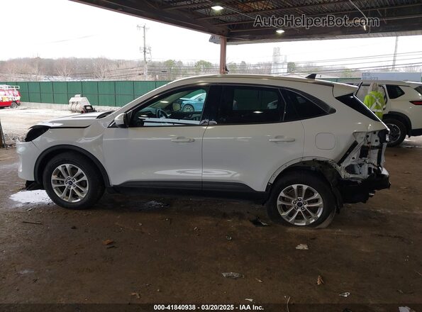 1FMCU9G69LUB14815 2020 FORD ESCAPE White 