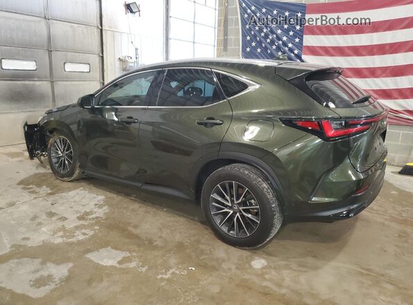 2T2GGCEZXPC023073 2023 LEXUS NX Зеленый Задняя левая четверть