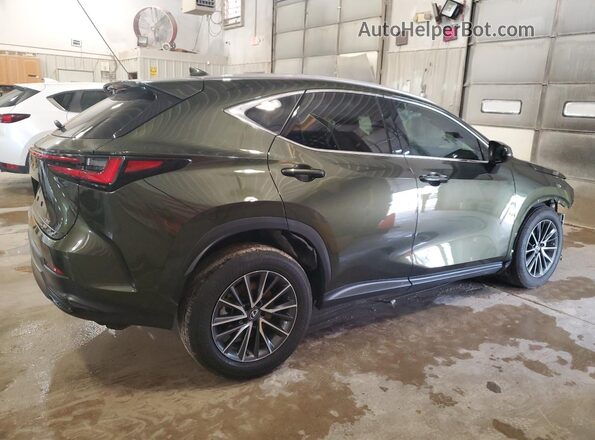 2T2GGCEZXPC023073 2023 LEXUS NX Зеленый Задняя правая четверть