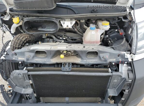 3C6LRVDG8NE134557 2022 RAM PROMASTER White Rear interior view