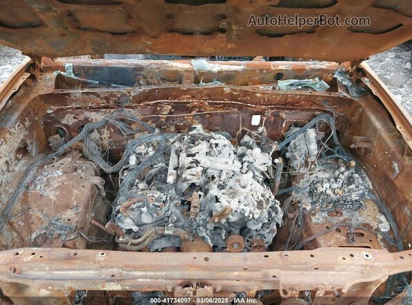 5TFCZ5ANXLX225483 2020 TOYOTA TACOMA Brown Widok z tyłu