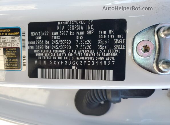 5XYP3DGC3PG344827 2023 KIA TELLURIDE White 
