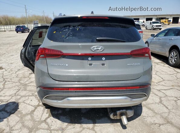 5NMS3DA14PH011799 2023 HYUNDAI SANTA Gray Widok z tyłu