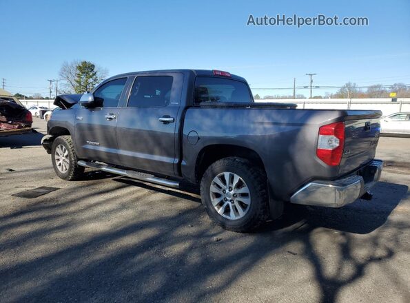 5TFHW5F17HX613489 2017 TOYOTA LIMITED Gray უკანა მარცხენა