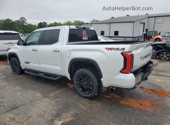 5TFMA5DB7PX088232 2023 TOYOTA TUNDRA Белый 