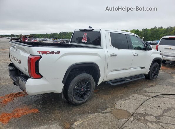 5TFMA5DB7PX088232 2023 TOYOTA TUNDRA Белый 