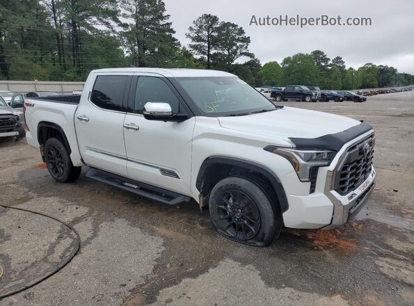 5TFMA5DB7PX088232 2023 TOYOTA TUNDRA Белый 