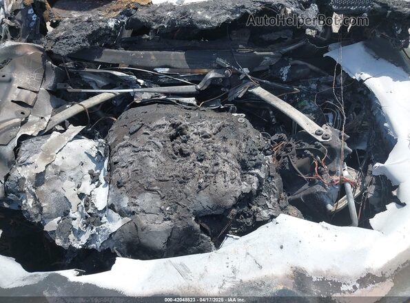 SADCT2EXXSA744616 2025 JAGUAR F-PACE White Հետևի տեսք