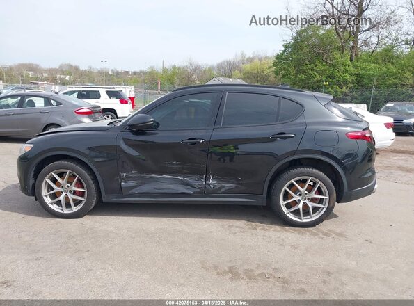 ZASPAKBN0K7C71772 2019 ALFA ROMEO STELVIO Black Սալոնի 360 աստիճան տեսք