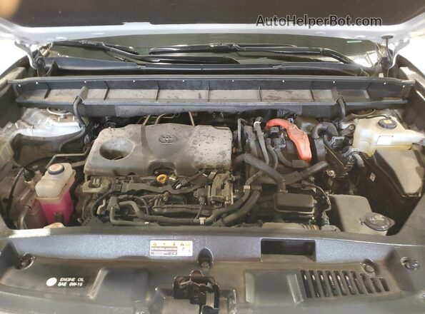 5TDHBRCH9MS530747 2021 TOYOTA LE White 