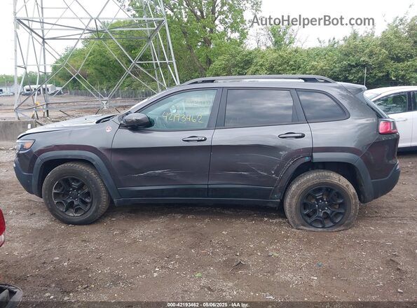 1C4PJMBX5KD140733 2019 JEEP CHEROKEE Gray Панорамний вид салону 360°
