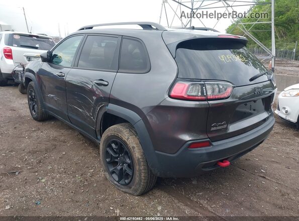 1C4PJMBX5KD140733 2019 JEEP CHEROKEE Gray Задня ліва чверть