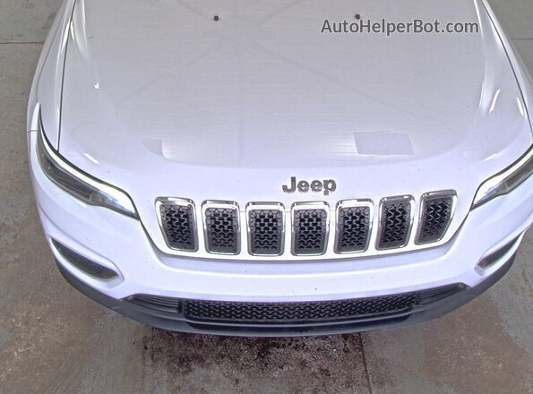 1C4PJMCB4LD626101 2020 JEEP CHEROKEE  Задня ліва чверть