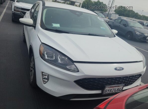 1FMCU0CZ5MUA53007 2021 FORD ESCAPE  