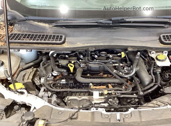1FMCU0GD2KUC36960 2019 FORD ESCAPE  