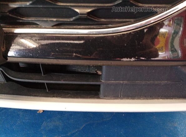 1FMCU9CZ3MUB25570 2021 FORD ESCAPE  Rear view