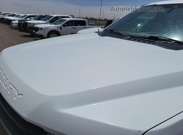 1FT7W2B66LEE28348 2020 FORD F250  