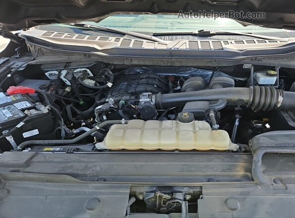 1FTEW1EB1MKE48181 2021 FORD F150  