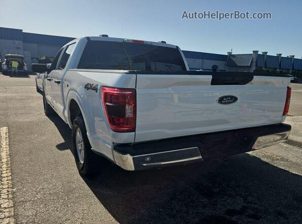 1FTEW1EB7MFC10280 2021 FORD F150  