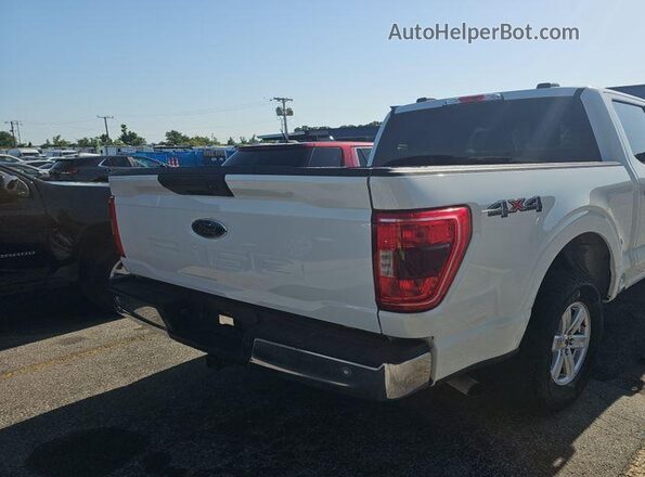 1FTEW1EB7MFC10280 2021 FORD F150  Вид задньої частини салону